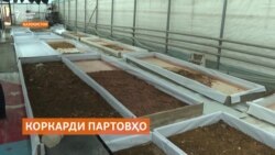 Магасҳои хос дар коркарди партобҳо саҳм мегиранд Магасҳои хос дар коркарди партобҳо саҳм мегиранд