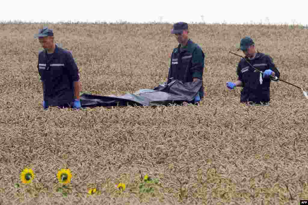 Ukrainian rescue workers carry the body of a victim away from a crash site on a stretcher through a wheat field near Hrabove on July 19. 