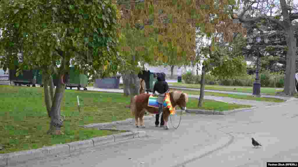 Поні 