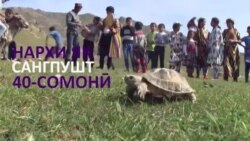 40 сомонӣ барои нест кардан 40 сомонӣ барои нест кардан