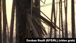 Наразі Серебрянський ліс на великій площі майже знищений війною