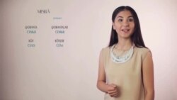 Видеоуроки «Elifbe». Множественное число существительных Видеоуроки «Elifbe». Множественное число существительных