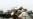 U.S. Experts Discuss Prospects For 'Soft Partitioning'