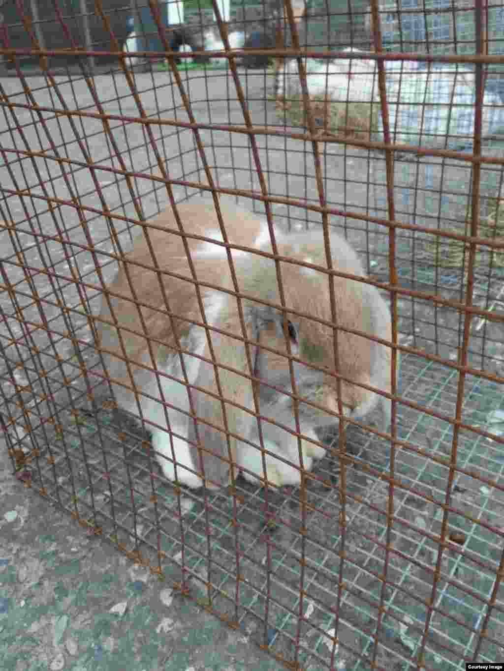 "Ну, я стеснительный... И не очень фотогеничный..."