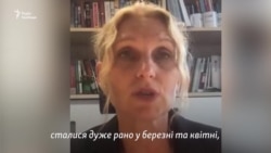 Швеції більшість смертей сталися дуже рано у березні та квітні - Екстром Швеції більшість смертей сталися дуже рано у березні та квітні - Екстром