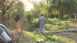 Муҳоҷири тоҷик: "Маро бесабаб ронданд" Муҳоҷири тоҷик: "Маро бесабаб ронданд"