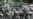 Uzbekistan: Eyewitness Accounts of Killing In Andijon