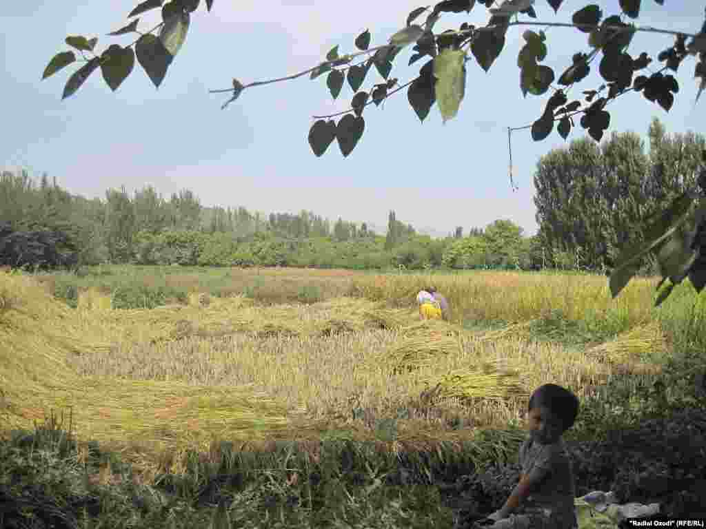 Намое аз Чорқишлоқ