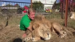 Зіткнення з реальною Росією Зіткнення з реальною Росією