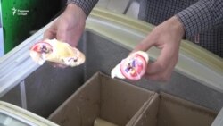 Лимит нест, барқ ҳам нест Лимит нест, барқ ҳам нест