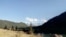 Altai 1