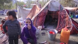 "Вақти гадоӣ баъзе кӯдаконро мошин зад" "Вақти гадоӣ баъзе кӯдаконро мошин зад"