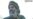 Bin Laden Family Deportation Delayed