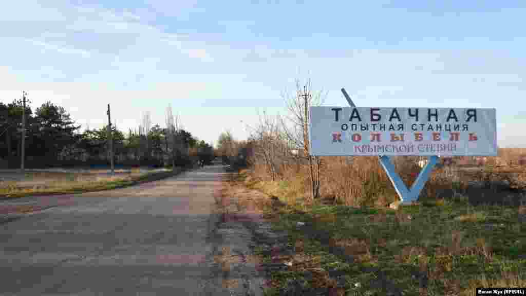 У Табачному діє кримська дослідна станція тютюнництва. Вона займається селекцією та вивченням властивостей нових сортів, а також розробляє способи обробітку культур і збереження унікальної колекції з 1235 сортів тютюну  