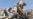 Afghan War Unmasked By Massive Leak Of Military Files