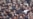 Kyrgyz Crisis Deepens