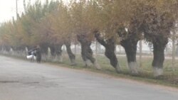 300 оиларо аз наздикии фурудгоҳи Айнӣ мекӯчонанд 300 оиларо аз наздикии фурудгоҳи Айнӣ мекӯчонанд