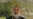 Pakistan Denies Iran Bomb Link