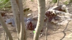 "Обрезон"-и наврӯзии аҳолии Навобод "Обрезон"-и наврӯзии аҳолии Навобод