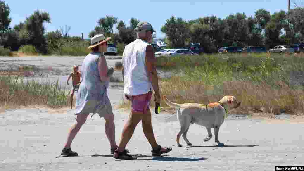 На відпочинок – із чотирилапим другом