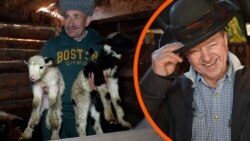 «Війна додала чимало викликів»: Гуцульщина і її унікальність. Як фермери дають собі раду і чи овечий бізнес розвивається? «Війна додала чимало викликів»: Гуцульщина і її унікальність. Як фермери дають собі раду і чи овечий бізнес розвивається?