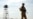 Armed Robbers Stop Cars Near Tajik-Afghan Border