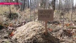Наздикони Умаралӣ мегӯянд, ки ҳеч кас аз ҳоли онҳо напурсидааст Наздикони Умаралӣ мегӯянд, ки ҳеч кас аз ҳоли онҳо напурсидааст