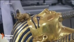 Риши фиръавн 8 нафарро ба додгоҳ кашид Риши фиръавн 8 нафарро ба додгоҳ кашид