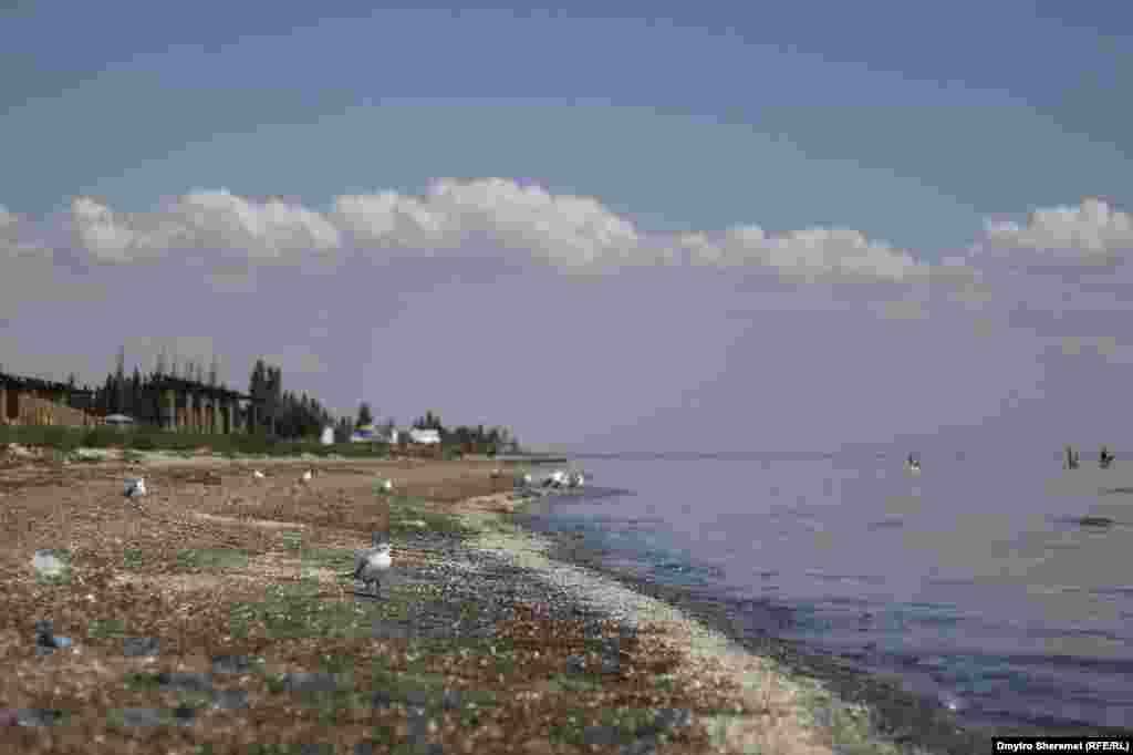 З відпочивальників на пляжі – лише чайки