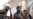 Russia Open To Moderate Taliban Contacts