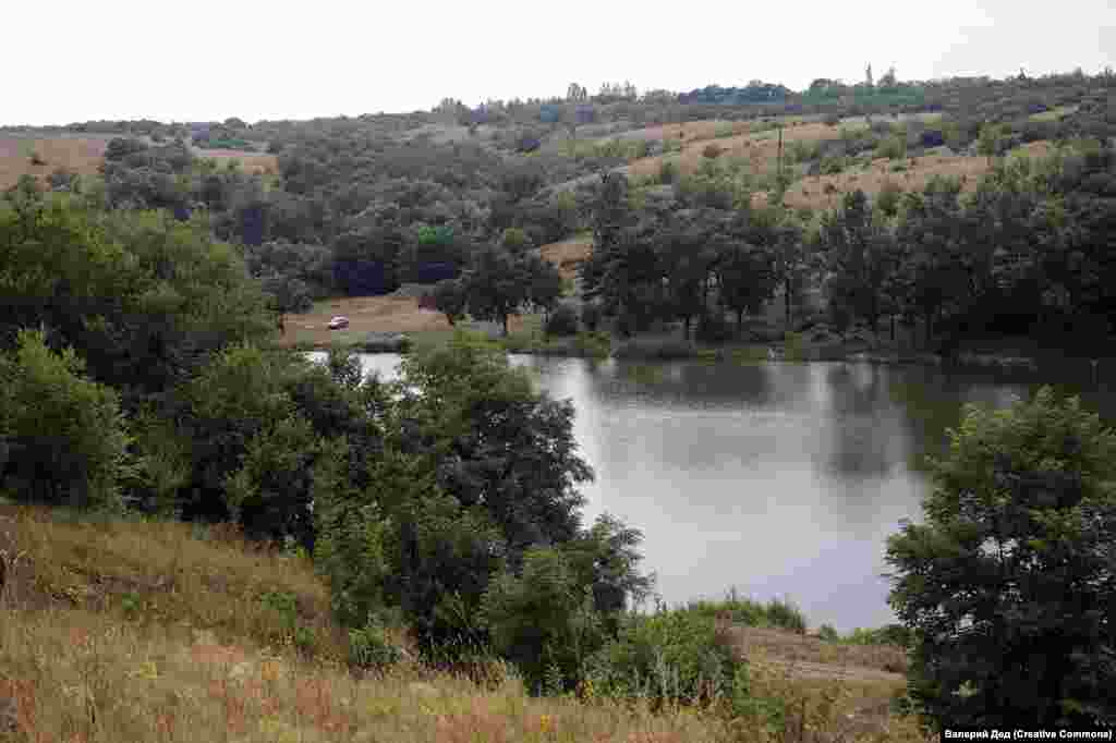 Місцеві жителі також планують створити сквер «Український Нью-Йорк» та власну газету «Новини Нью-Йорка»  