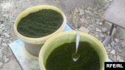 Русия дар андешаи манъи фурӯши нос афтодааст, ки асосан аз Осиёи Марказӣ ба онҷо "ворид" мешавад.