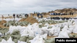 Сбор мазута на побережье Черного моря