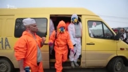 Маланка. Лікарі Маланка. Лікарі