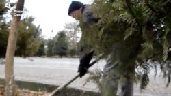 Додситони Кӯлоб: Маоши занони кӯчарӯб пардохта шуд Додситони Кӯлоб: Маоши занони кӯчарӯб пардохта шуд