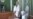 Analysis: Tajikistan Moves To Eradicate Any Vestige Of Islamic Party