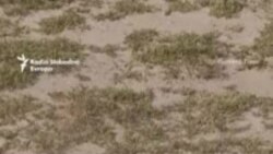 Ukrajina jača proizvodnju dronova, tvrdi da je na nebu jednaka Rusiji Ukrajina jača proizvodnju dronova, tvrdi da je na nebu jednaka Rusiji