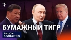 Бумажный тигр