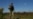 Ukraine - a guard along the border with Romania, where some draft dodgers and deserters try to leave Ukraine illegally - screen grab