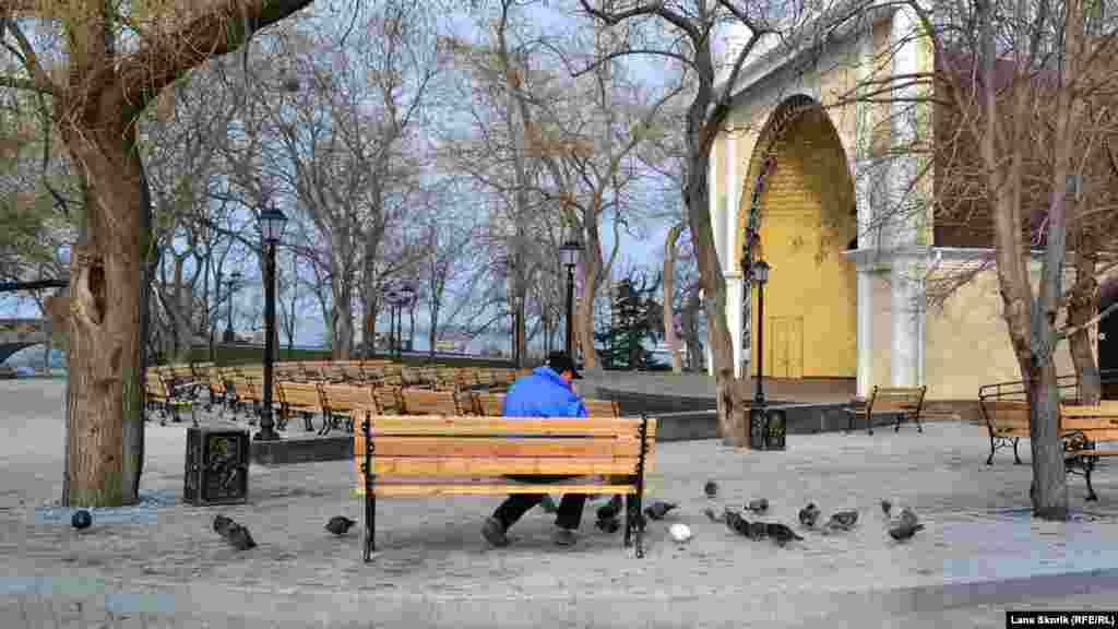 Чоловік годує голубів біля літньої естради 
