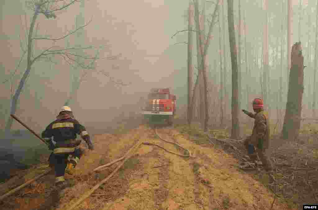 Українські пожежники біля села Рахівка. Понад 400 пожежників боролися з вогнем у зоні відчуження протягом десяти днів. 