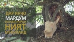 Чашмае, ки аз он ҳоҷат мехоҳанд Чашмае, ки аз он ҳоҷат мехоҳанд