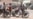 Iran Protests 'False' Claims Over Tajikistan Attack On Cyclists
