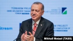 Ердоган обговорив можливе посередництво з президентами України та Росії