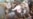 Angry Mob Kills Woman In Kabul