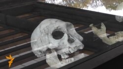 Ancient Skull In Georgia Gives Glimpse Of Human Evolution Ancient Skull In Georgia Gives Glimpse Of Human Evolution