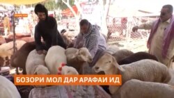 Чаро дар арафаи Иди қурбон бозори моли Карочӣ гарм нашуд? Чаро дар арафаи Иди қурбон бозори моли Карочӣ гарм нашуд?