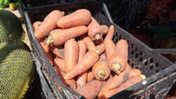 Savo Bakajlić o zaštiti domaće poljoprivredne proizvodnje Savo Bakajlić o zaštiti domaće poljoprivredne proizvodnje