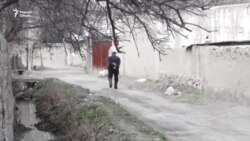 Наврӯзи ормонҳо. Гузориши вижа аз марзи Тоҷикистону Қирғизистон Наврӯзи ормонҳо. Гузориши вижа аз марзи Тоҷикистону Қирғизистон