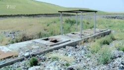 Дар Душанбе садҳо сагро куштанд Дар Душанбе садҳо сагро куштанд